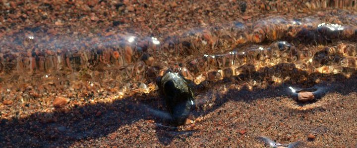 &copy; Märt Nigu Music